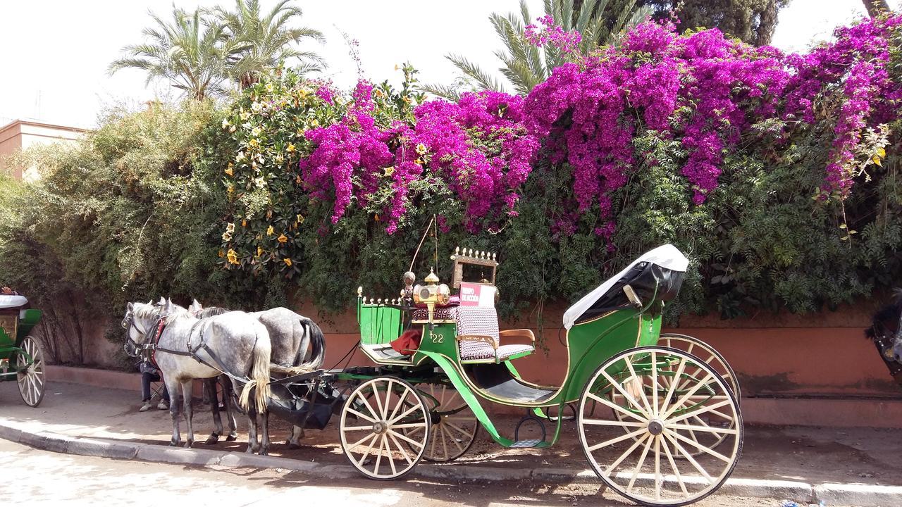 Mirador De Majorelle, The Apartment Is Only For Families Μαρακές Εξωτερικό φωτογραφία